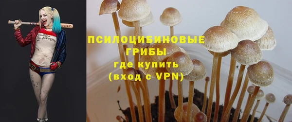 эйфоретик Фёдоровский