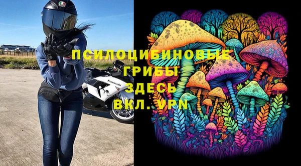 ALPHA PVP Надым