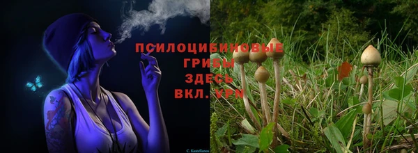 ALPHA PVP Надым