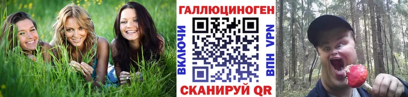 Псилоцибиновые грибы Cubensis Ангарск