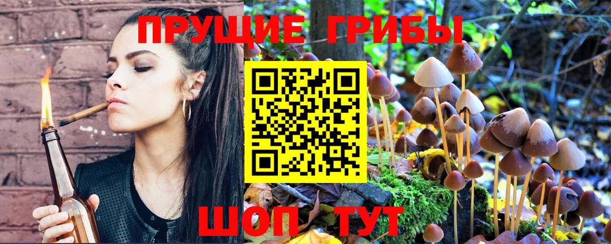 Псилоцибиновые грибы прущие грибы  Ангарск 