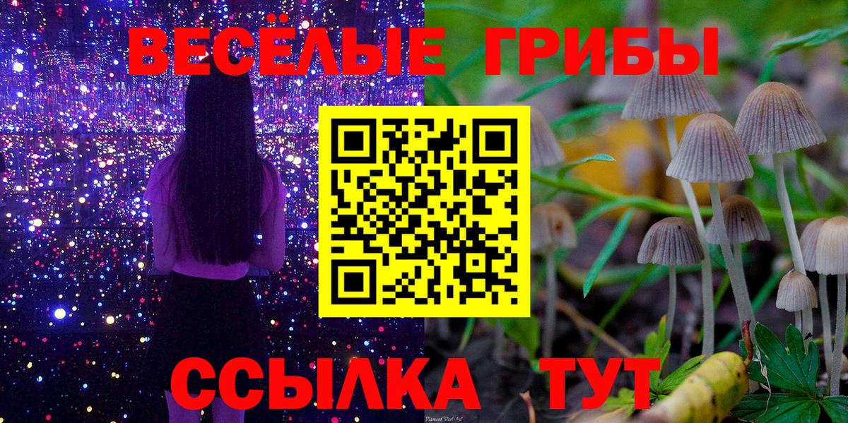Галлюциногенные грибы Psilocybine cubensis  Вход с VPN  Ангарск 